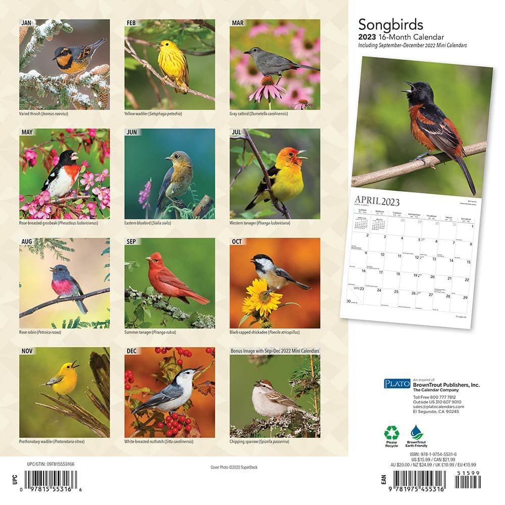 Songbirds 2023 Plato FOIL 2023 Wall Calendar - Calendars.com