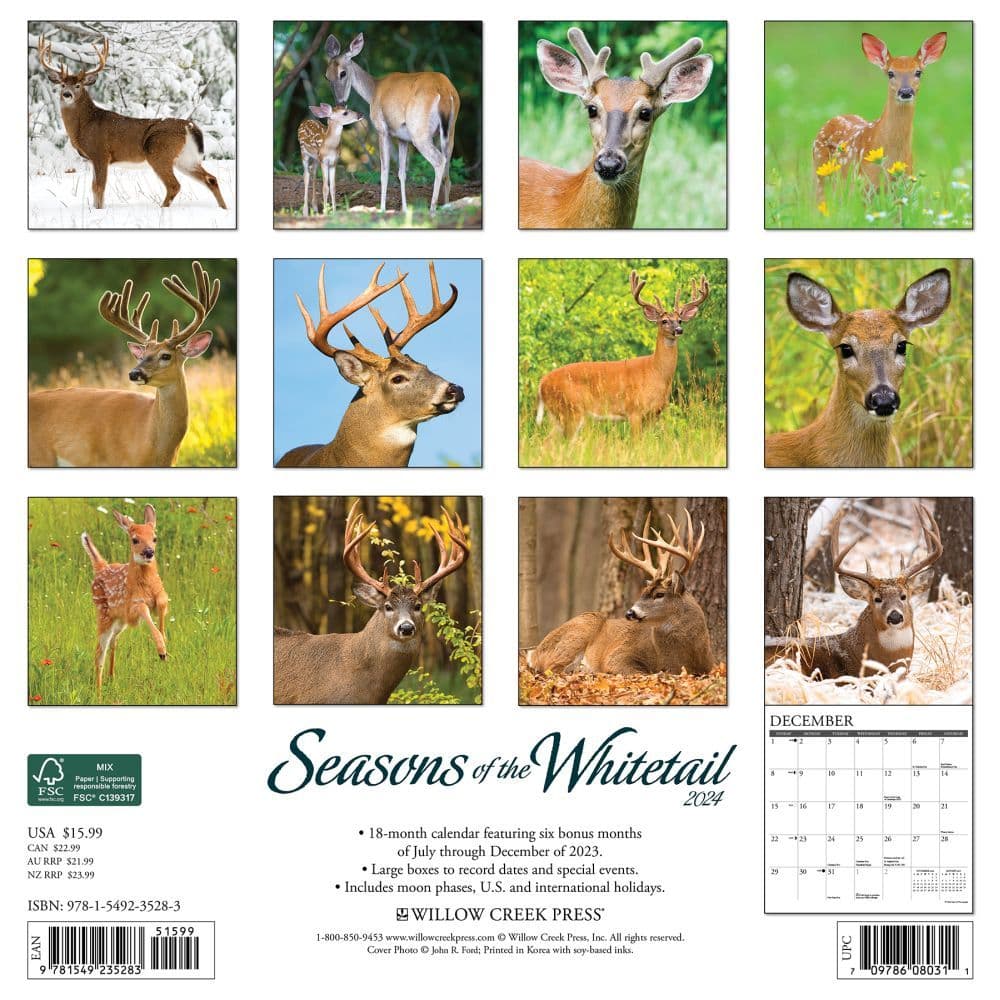 Deer Whitetail Seasons 2024 Wall Calendar