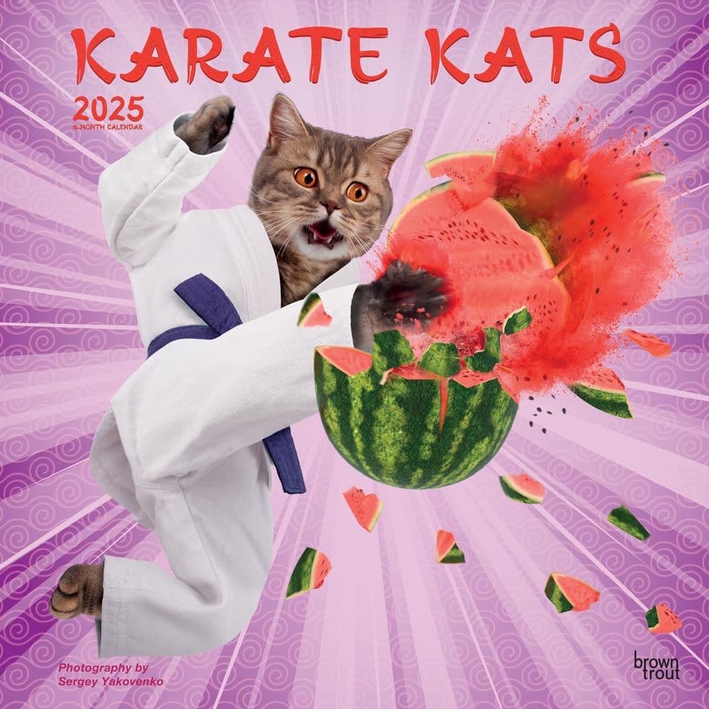 Karate Cats 2025 Wall Calendar