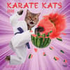 image Karate Cats 2025 Wall Calendar Main Image