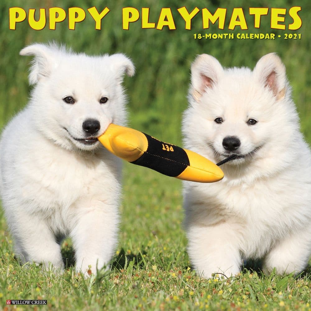 Puppy Playmates Wall Calendar
