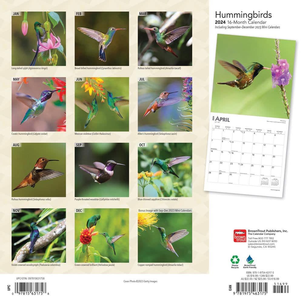 Hummingbirds 2024 Wall Calendar