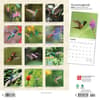 image Hummingbirds  2024 Wall Calendar