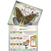 image Butterflies 2027 Wall Calendar by Jane Shasky First Alternate Image