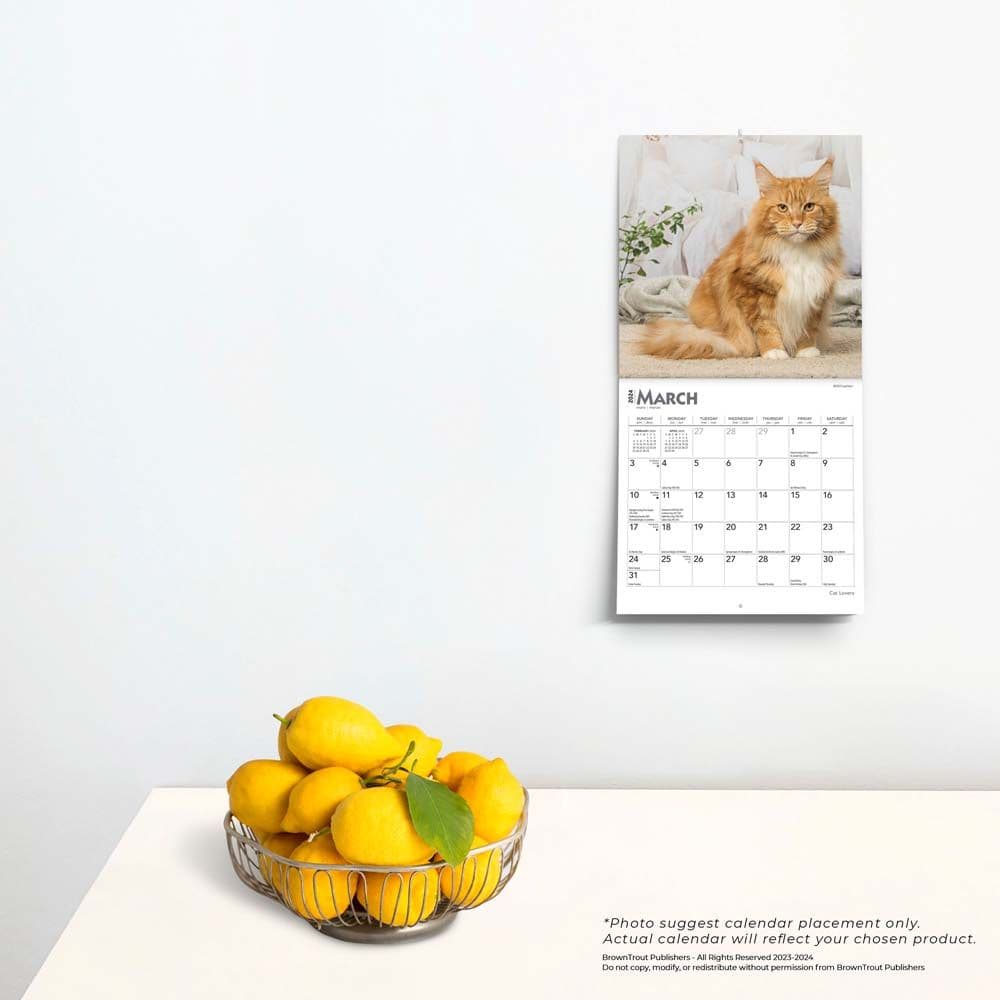 Cats 2024 Mini Wall Calendar Third Alternate Image width=&quot;1000&quot; height=&quot;1000&quot;