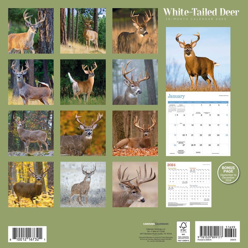 White Tailed Deer 2025 Wall Calendar First Alternate Image width=&quot;1000&quot; height=&quot;1000&quot;