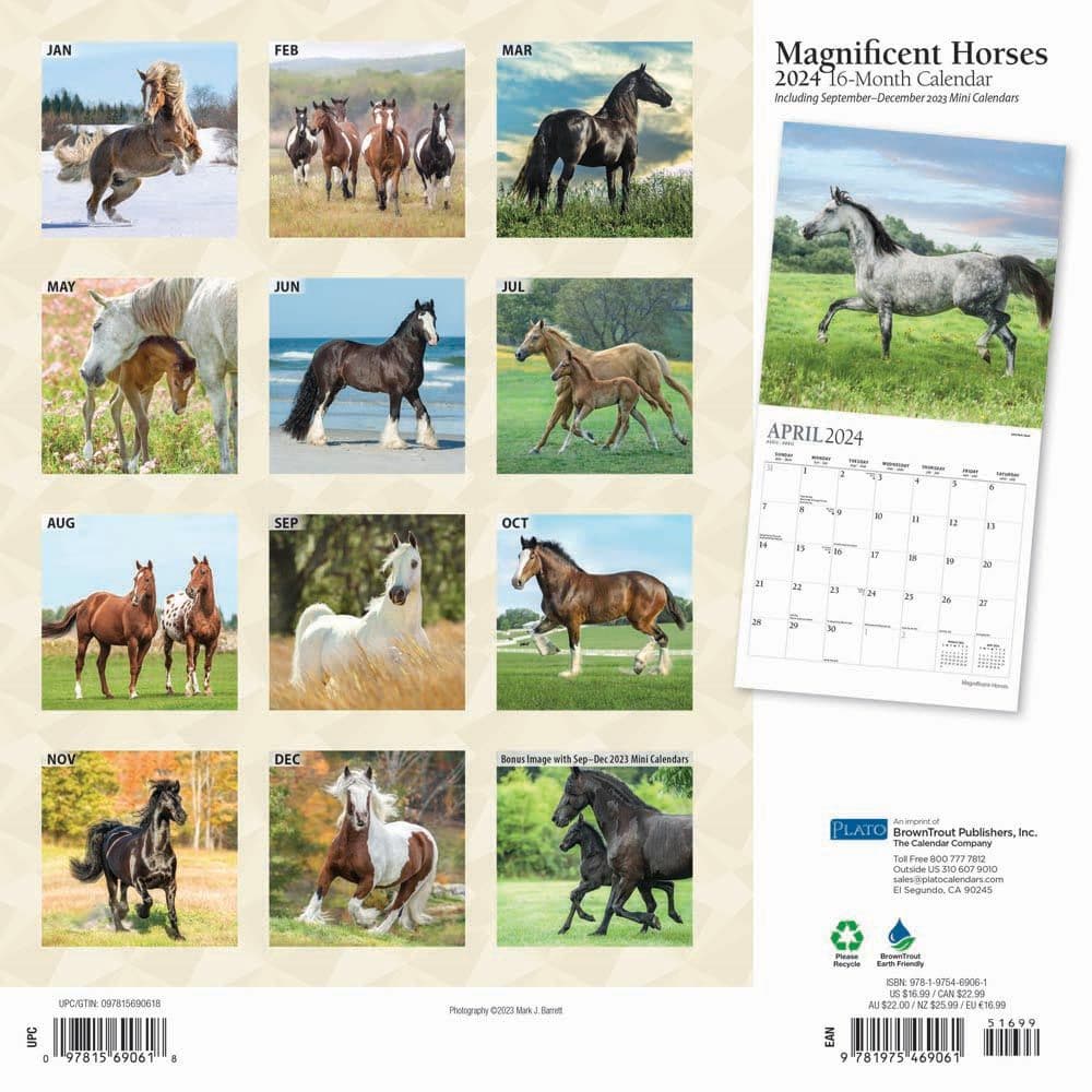 Magnificent Horses 2024 Wall Calendar Alternate Image 1