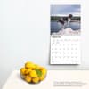 image German Shorthaired Pointers 2024 Wall Calendar