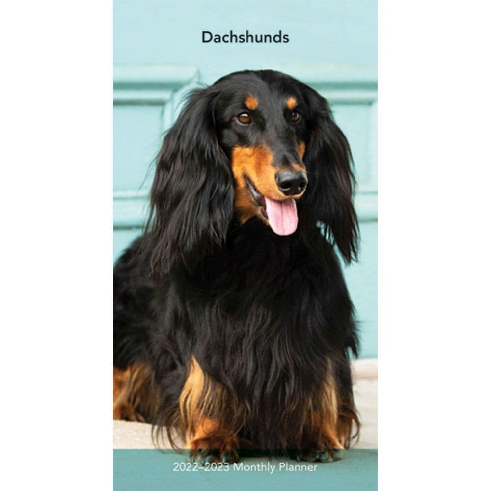 Dachshunds 2022 Pocket Planner