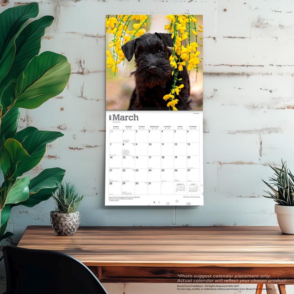 Schnauzers 2027 Wall Calendar Fourth Alternate Image