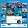 image Sea Creatures 2025 Wall Calendar First Alternate Image