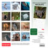 image Wildlife 2026 Wall Calendar First Alternate Image