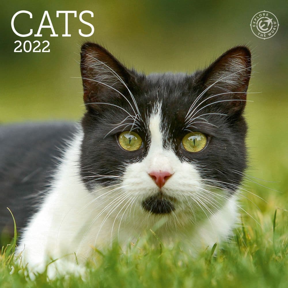 Cats 2022 Mini Wall Calendar - Calendars.com