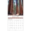 image National Parks Photo 2025 Mini Wall Calendar