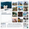 image Dogs in the Wilderness 2024 Wall Calendar First Alternate Image width=&quot;1000&quot; height=&quot;1000&quot;