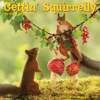 image Getting Squirrelly 2026 Wall Calendar Main Image