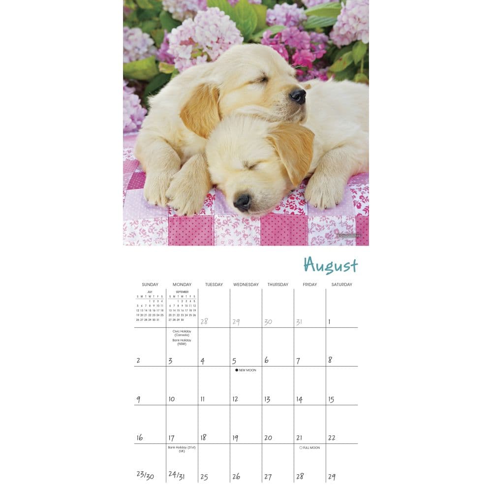 Pooped Puppies 2026 Mini Wall Calendar Third Alternate Image