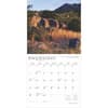 image Oklahoma Wild and Scenic 2025 Wall Calendar Third Alternate Image width=&quot;1000&quot; height=&quot;1000&quot;