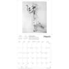 image Classic Ballet 2025 Wall Calendar Second Alternate Image