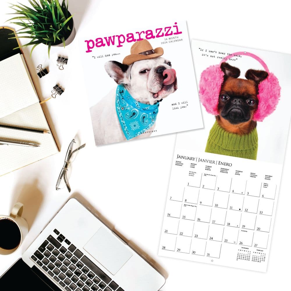 Pawparazzi 2025 Wall Calendar Alt2