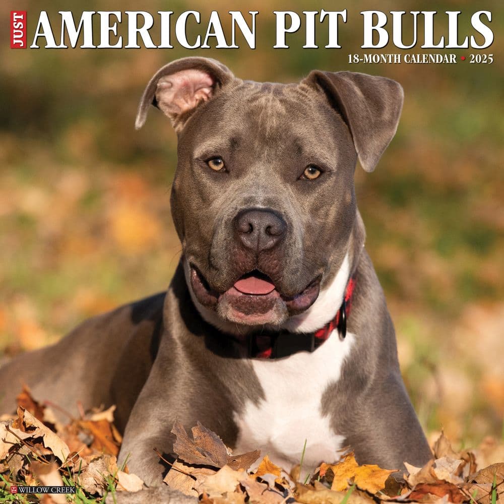 Just American Pit Bulls 2025 Wall Calendar