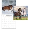 image Horses Special Value 2025 Mini Wall Calendar Third Alternate Image width=&quot;1000&quot; height=&quot;1000&quot;