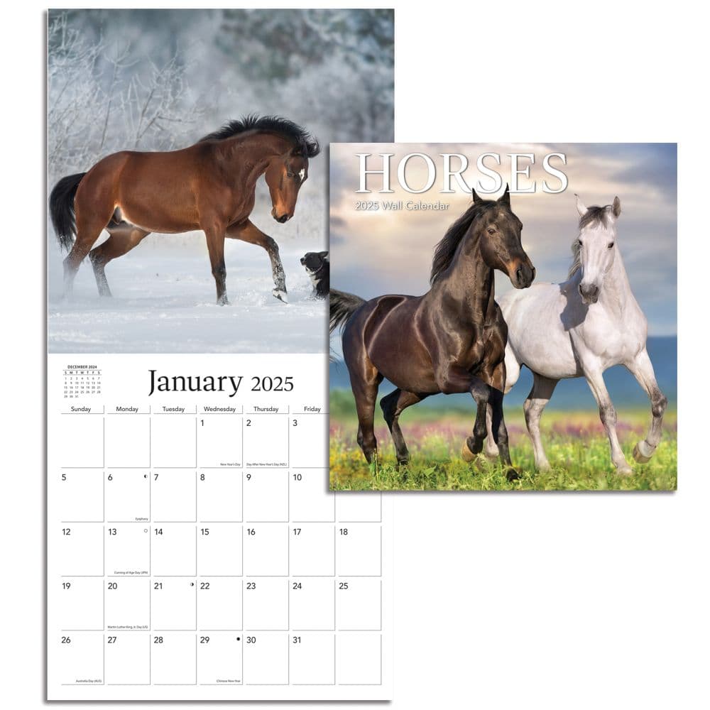 Horses Special Value 2025 Mini Wall Calendar Third Alternate Image width=&quot;1000&quot; height=&quot;1000&quot;