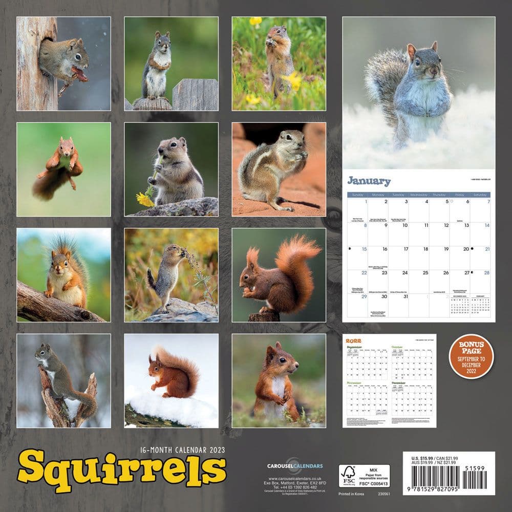 Squirrels 2023 Wall Calendar - Calendars.com