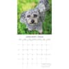 image Dogs in the Wind 2024 Wall Calendar Second Alternate Image width=&quot;1000&quot; height=&quot;1000&quot;