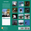 image Bald Eagles 2025 Wall Calendar First Alternate Image width="1000" height="1000"