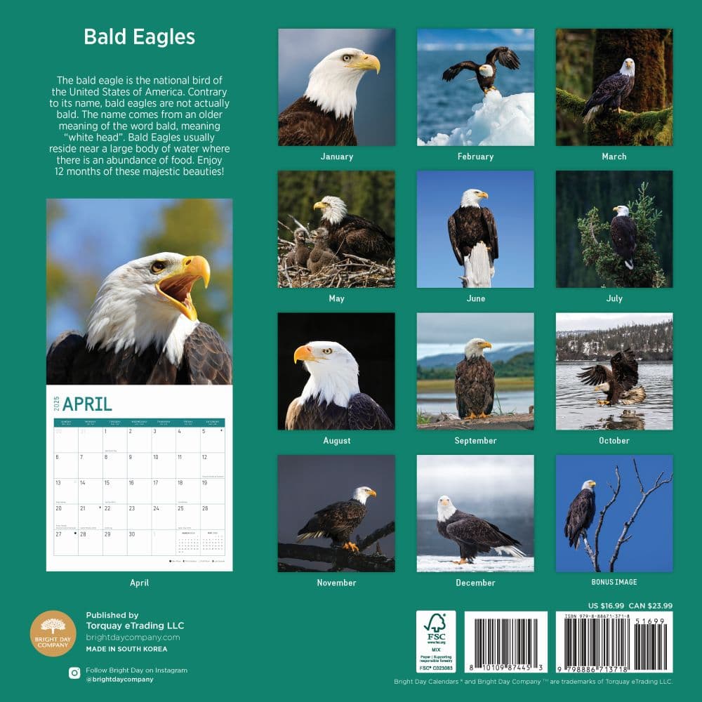 Bald Eagles 2025 Wall Calendar First Alternate Image width="1000" height="1000"