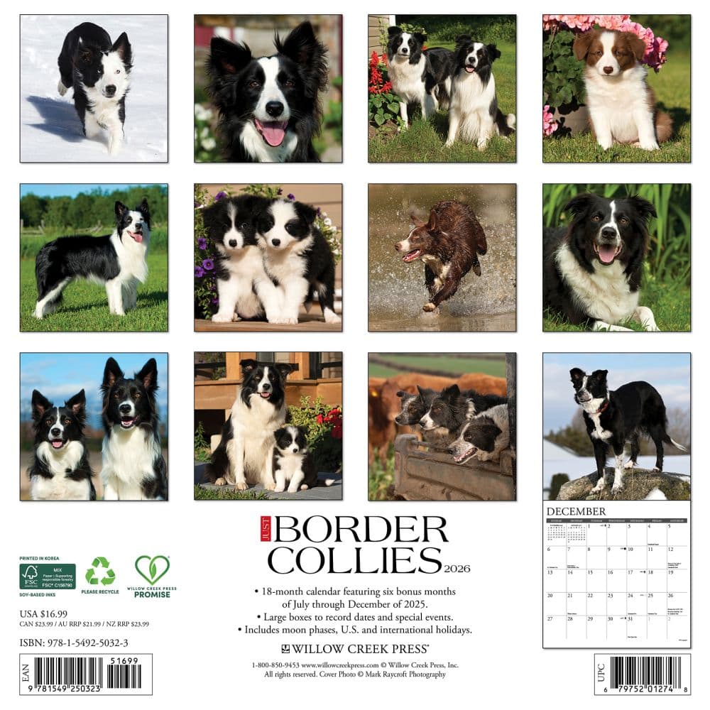 Just Border Collies 2026 Wall Calendar First Alternate Image