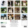 image Just Border Collies 2026 Wall Calendar First Alternate Image