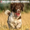 image Just English Springer Spaniels 2025 Wall Calendar Main Image