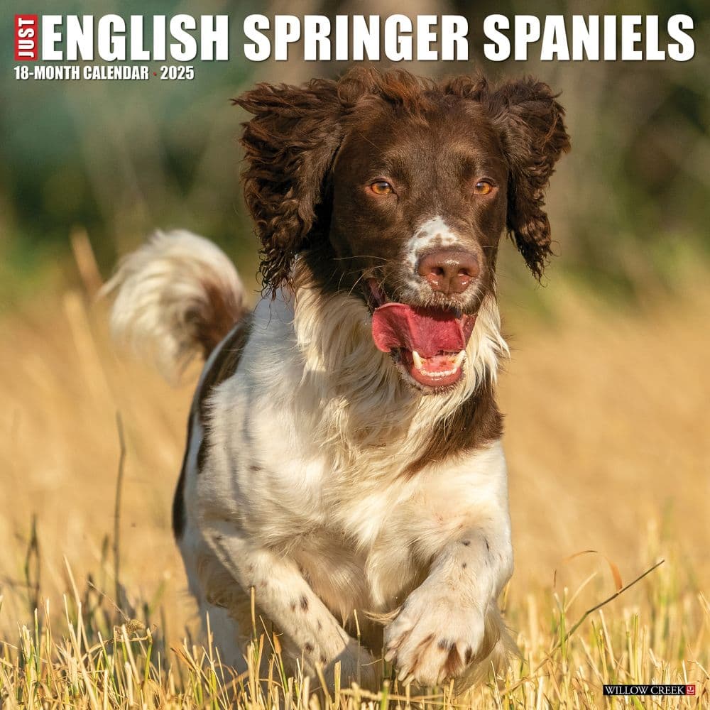 Just English Springer Spaniels 2025 Wall Calendar Main Image