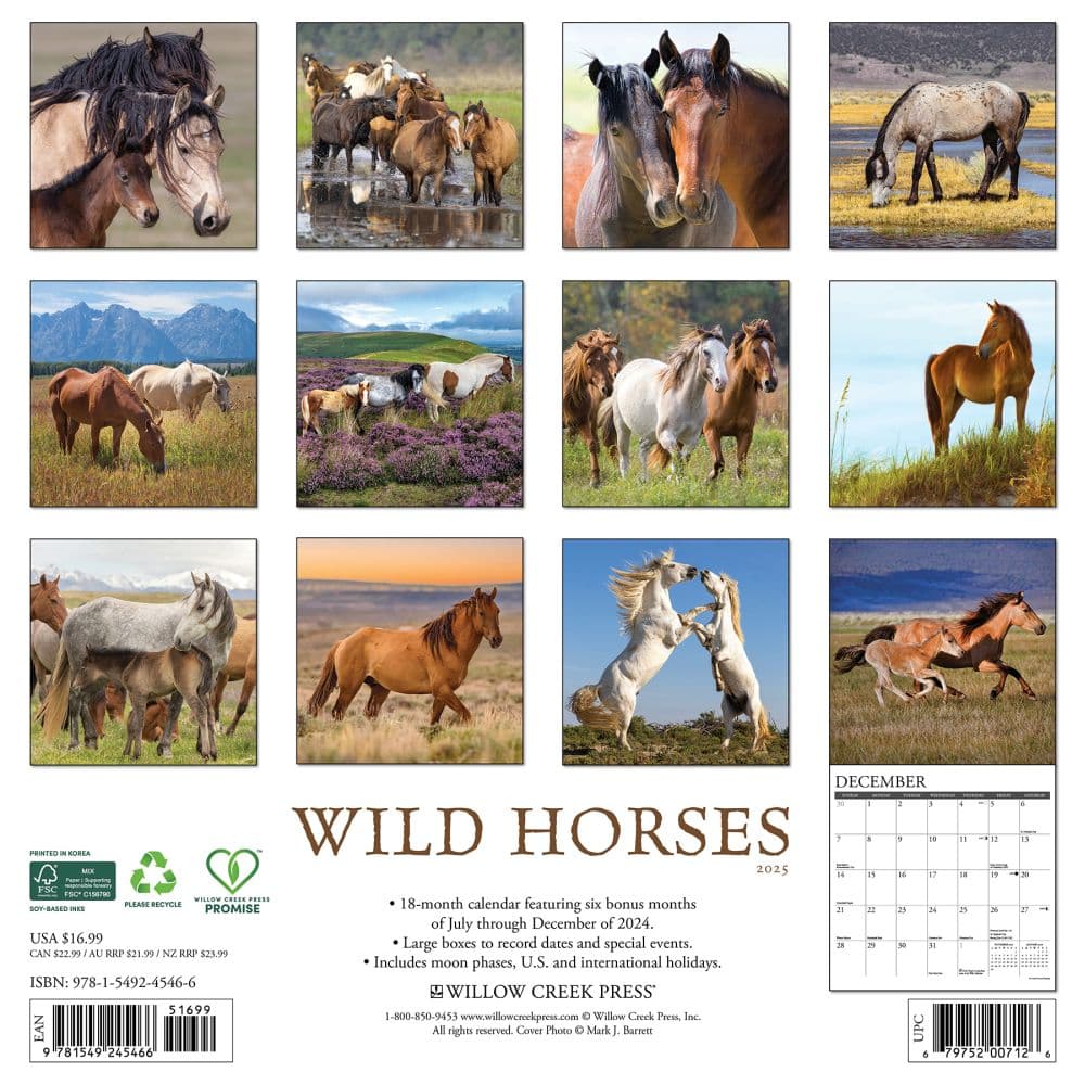 Wild Horses 2025 Wall Calendar First Alternate Image width="1000" height="1000"