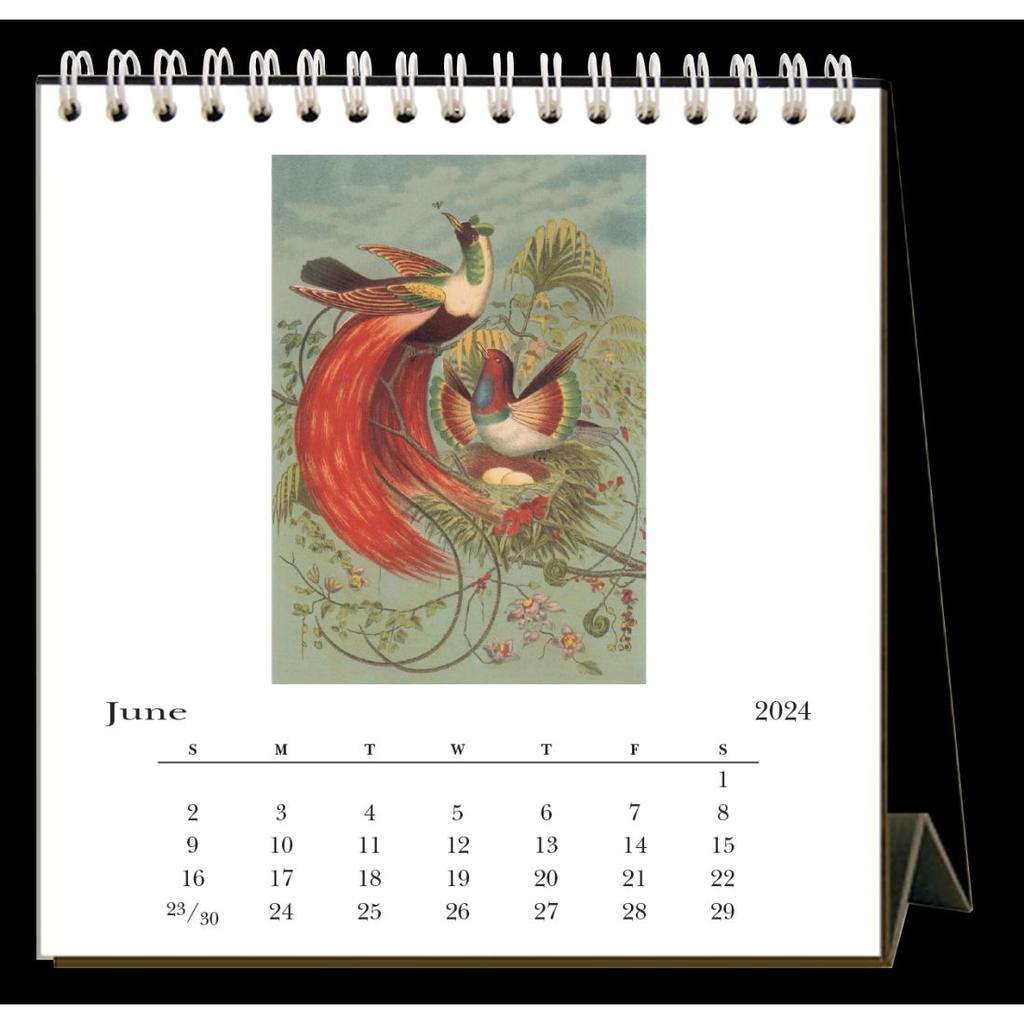 Birds 2024 Easel Desk Calendar Second Alternate Image width=&quot;1000&quot; height=&quot;1000&quot;