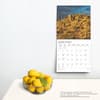 image Motivation Plato 2025 Wall Calendar