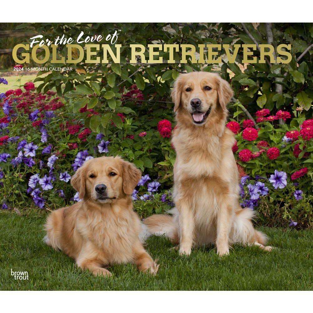 Golden Retrievers Deluxe 2024 Wall Calendar - Calendars.com