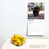 image Chocolate Lab Retriever Puppies 2024 Wall Calendar Third Alternate Image width=&quot;1000&quot; height=&quot;1000&quot;