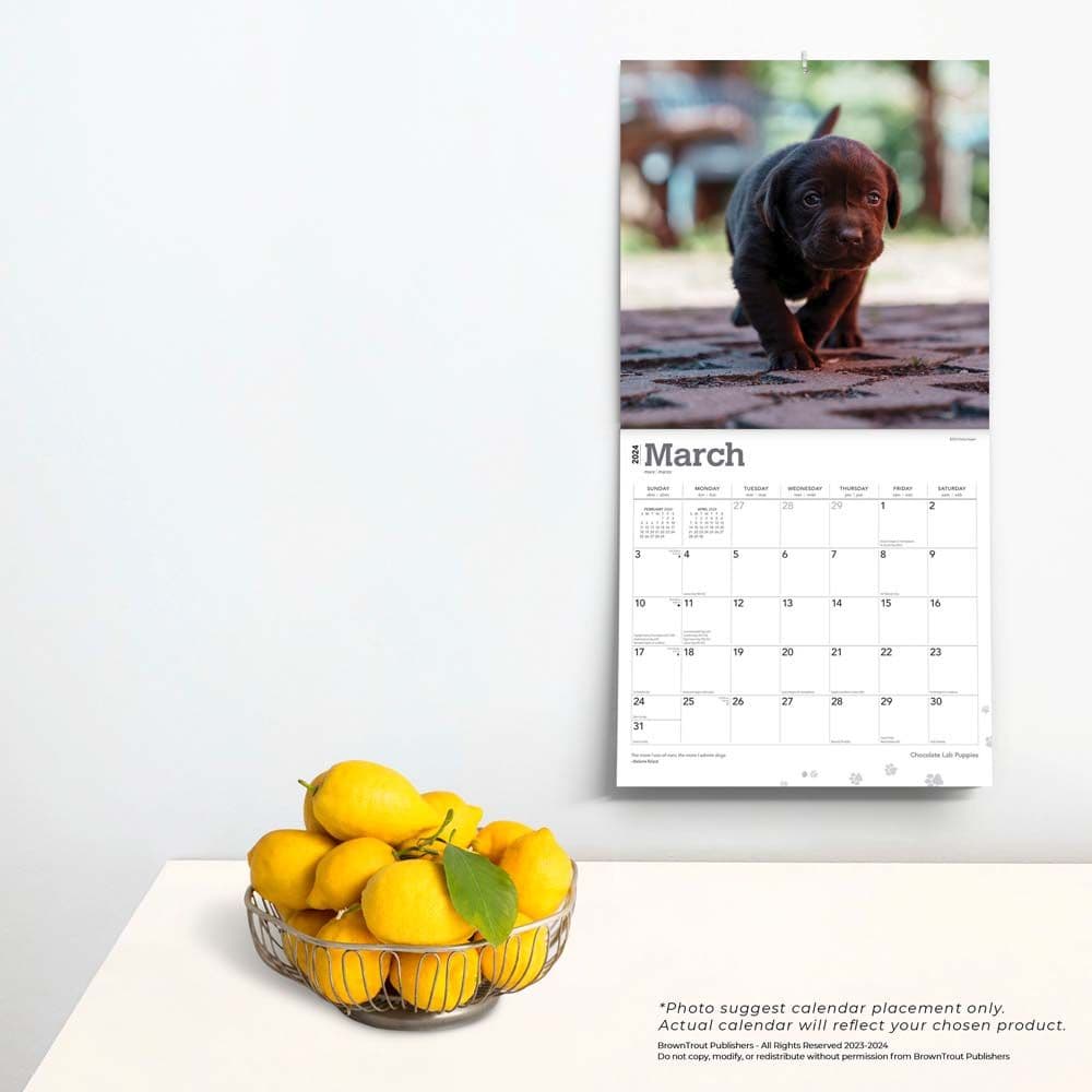 Chocolate Lab Retriever Puppies 2024 Wall Calendar Third Alternate Image width=&quot;1000&quot; height=&quot;1000&quot;