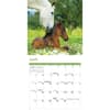 image Horses 2026 Mini Wall Calendar Third Alternate Image