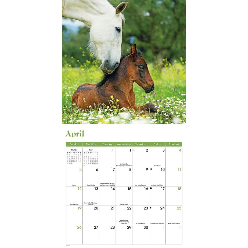 Horses 2026 Mini Wall Calendar Third Alternate Image