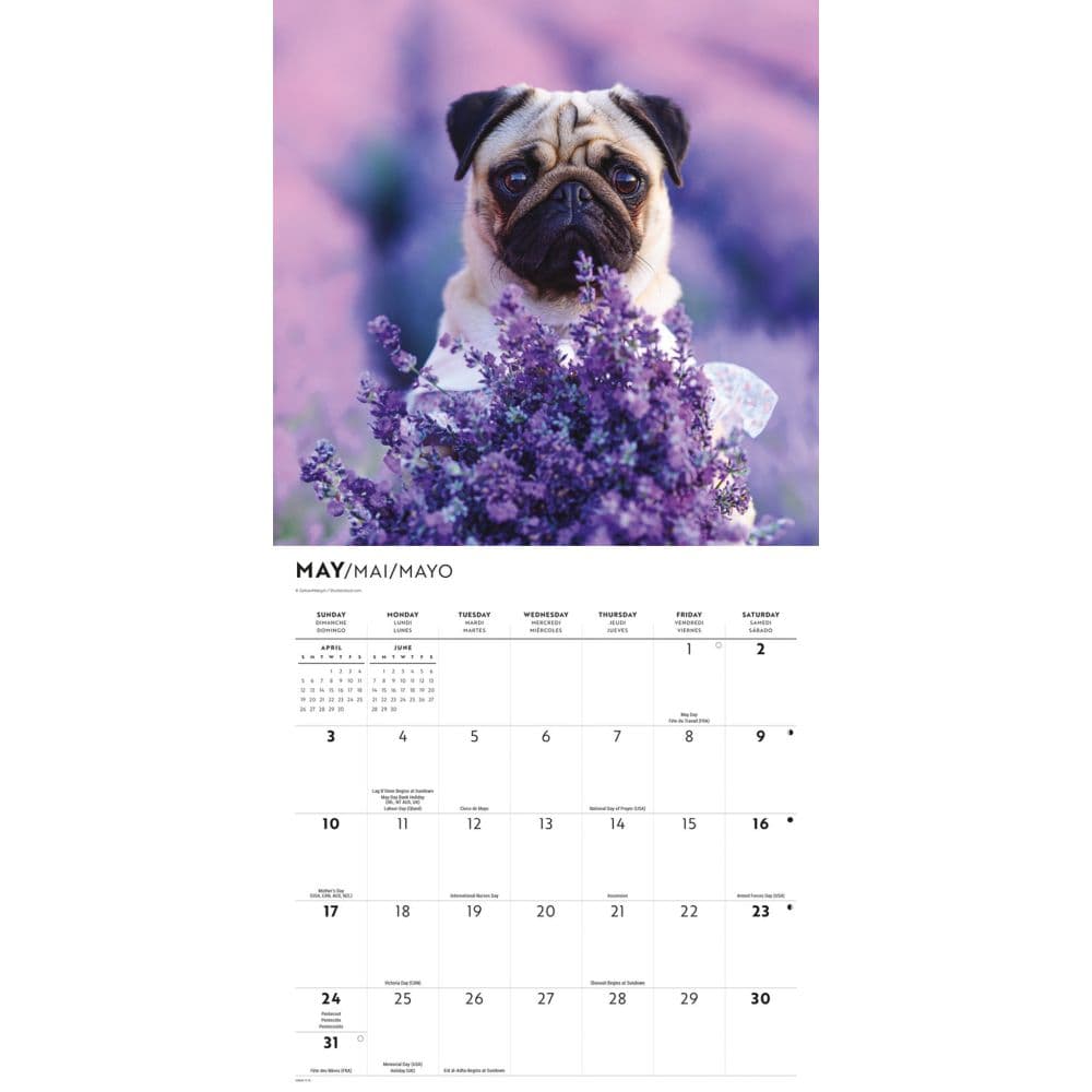Puppy Love 2026 Wall Calendar Second Alternate Image