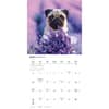 image Puppy Love 2026 Wall Calendar Second Alternate Image