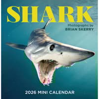 image Sharks Mini 2026 Wall Calendar Main Product Image
