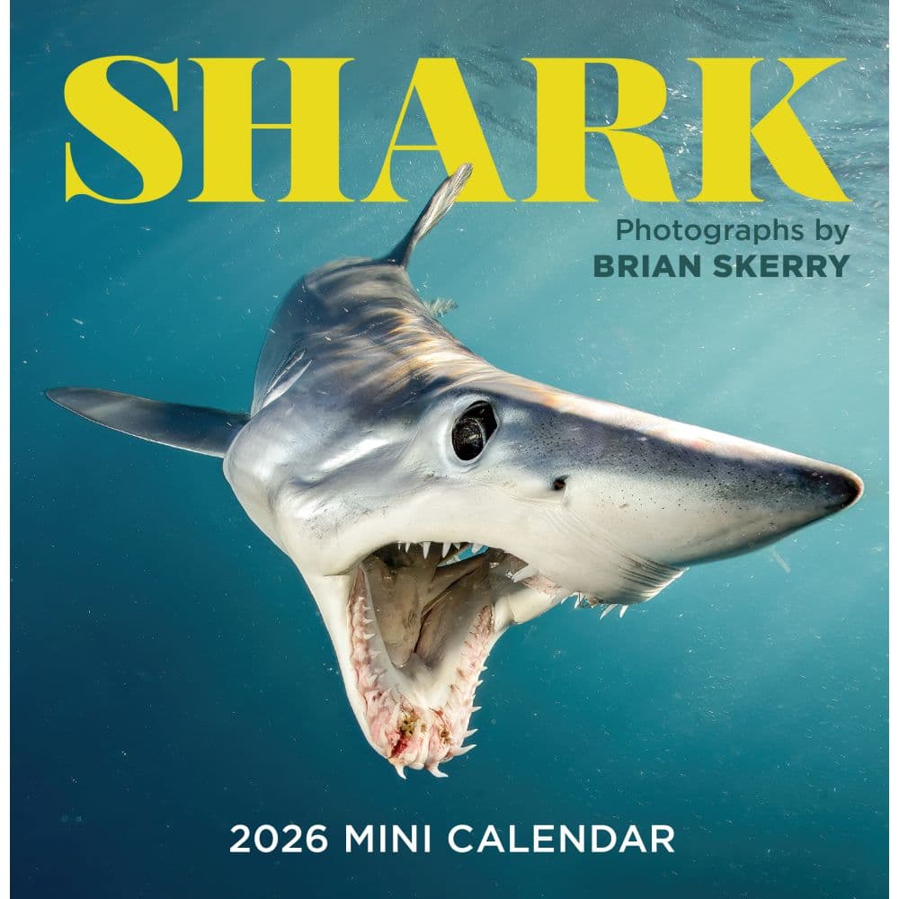 Sharks Mini 2026 Wall Calendar Main Product Image
