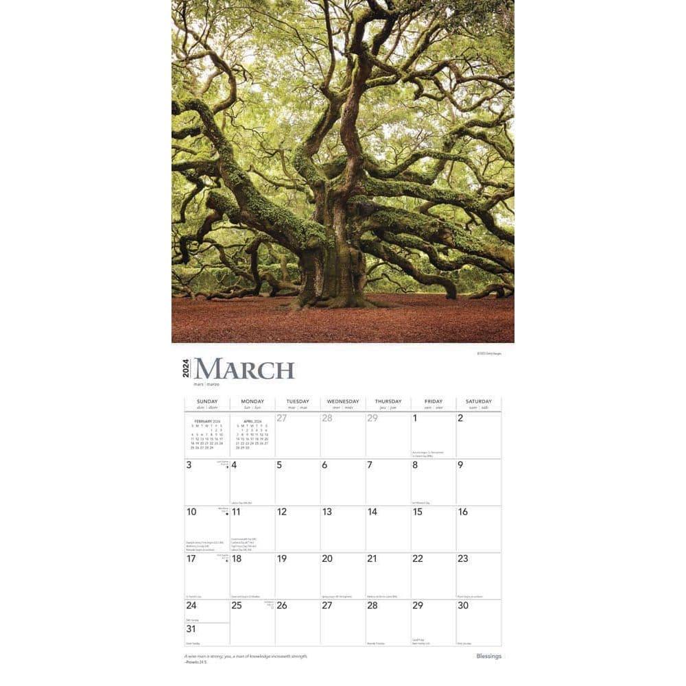 Blessings 2024 Wall Calendar