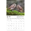 image Owls WWF 2026 Wall Calendar Third Alternate Image
