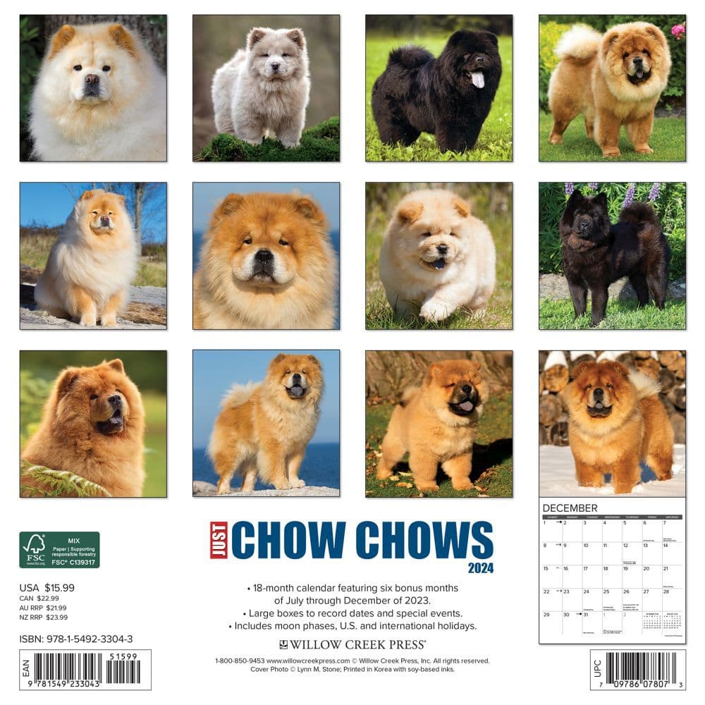 Chow Chows 2025 Wall Calendar